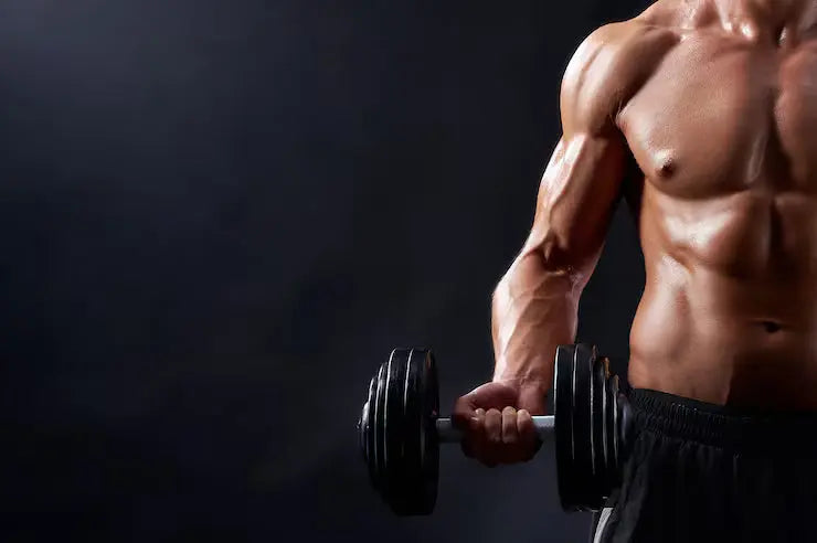 Fitness & Wellness Delhi Mart
